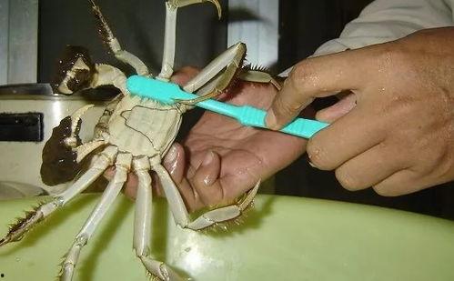 脏物在线观看,揭秘网络暗流涌动的惊悚故事 第2张 脏物在线观看,揭秘网络暗流涌动的惊悚故事 第2张